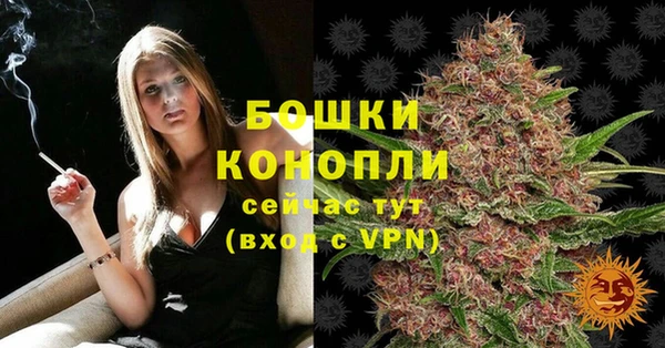 гидра Касимов