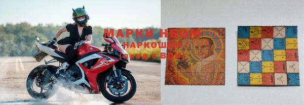 гидра Касимов