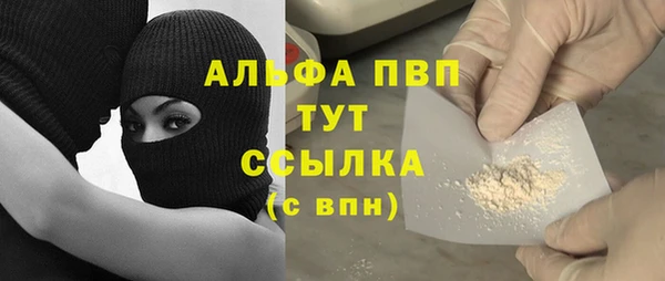 гидра Касимов