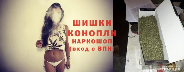 шишки Карпинск