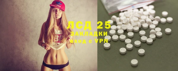 шишки Карпинск