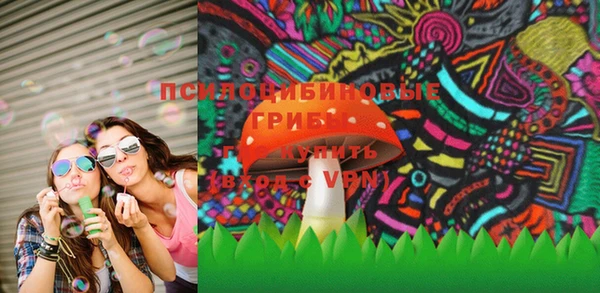 гидра Касимов
