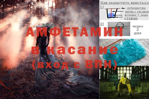 шишки Карпинск