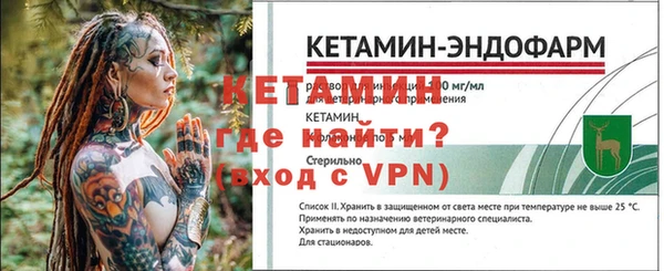 шишки Карпинск