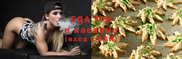 шишки Карпинск